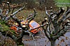 IMGP0657.JPG